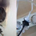 Почему не работает свет и розетки в зале и на кухне, притом что электричество есть в туалете и коридоре?